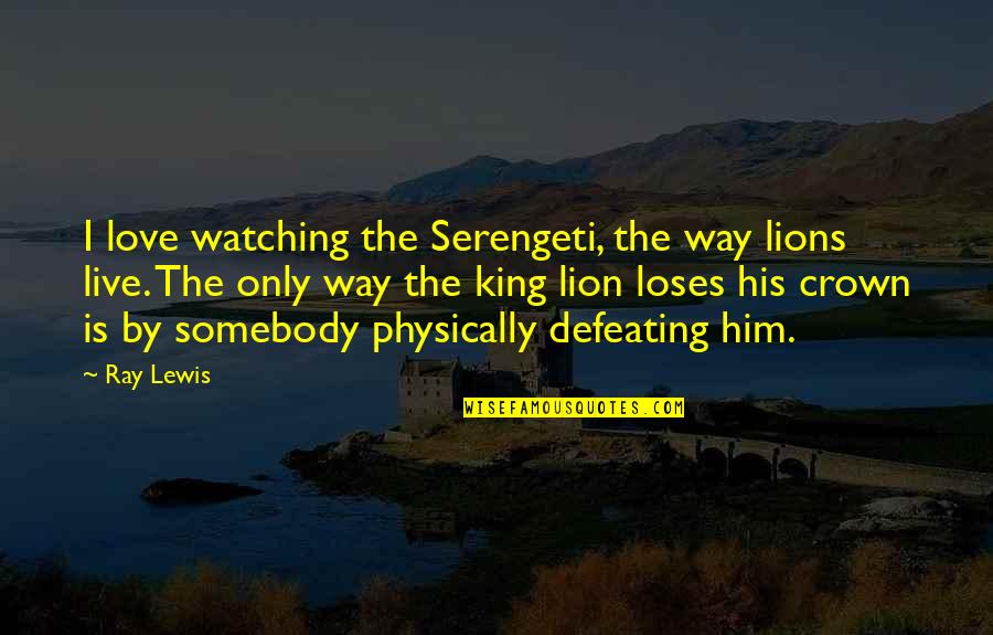 Lion King 1/2 Quotes By Ray Lewis: I love watching the Serengeti, the way lions