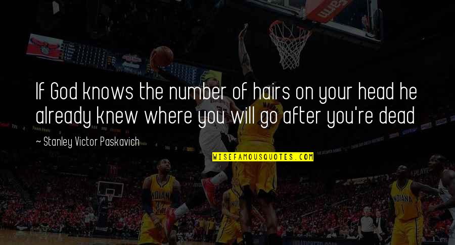 Lion King Stars In The Sky Quotes By Stanley Victor Paskavich: If God knows the number of hairs on Lion King Stars In The Sky Quotes By Stanley Victor Paskavich: If God knows the number of hairs on