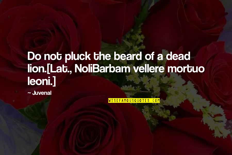 Lion Quotes By Juvenal: Do not pluck the beard of a dead