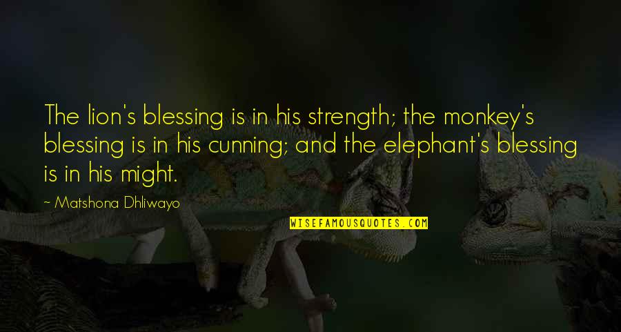 Lion Strength Quotes By Matshona Dhliwayo: The lion's blessing is in his strength; the