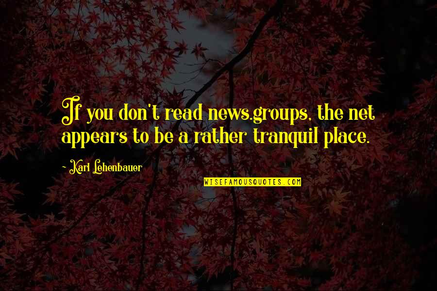 Lionblaze And Heathertail Quotes By Karl Lehenbauer: If you don't read news.groups, the net appears