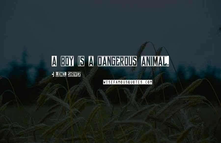 Lionel Shriver quotes: A boy is a dangerous animal.