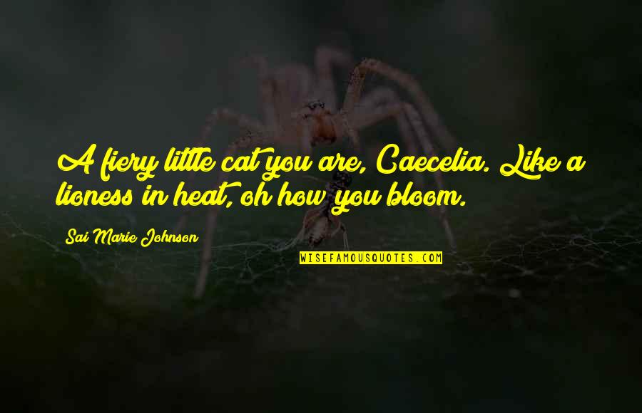 Lioness's Quotes By Sai Marie Johnson: A fiery little cat you are, Caecelia. Like