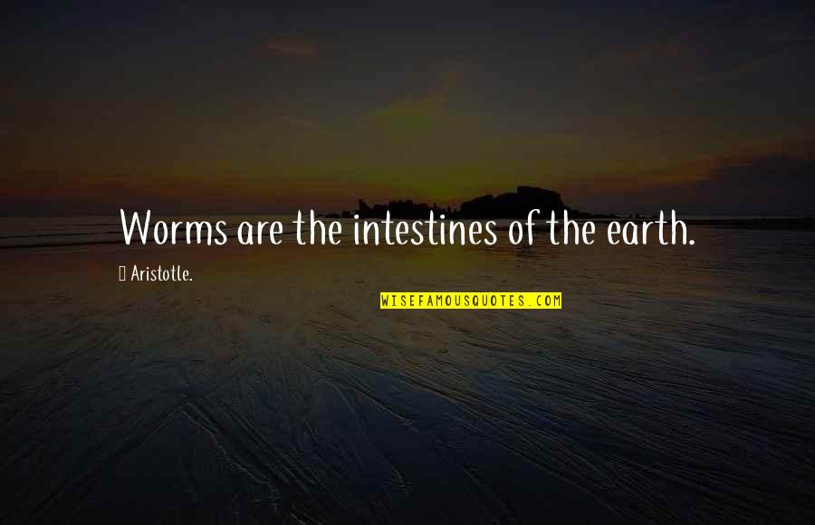 Lionhearted Quotes By Aristotle.: Worms are the intestines of the earth.