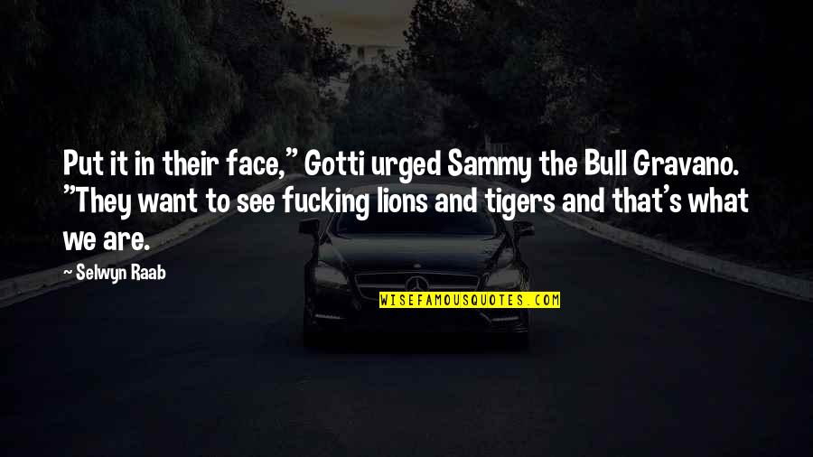 Lions And Tigers Quotes By Selwyn Raab: Put it in their face," Gotti urged Sammy