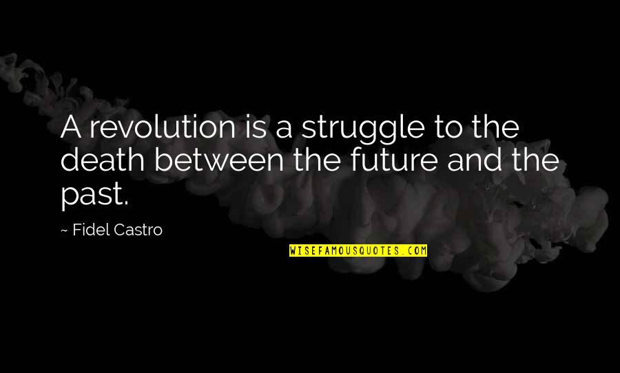 Lions Vs Sheep Quotes By Fidel Castro: A revolution is a struggle to the death