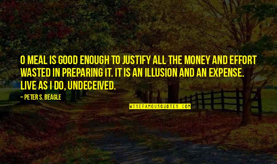 Lippmann Collection Quotes By Peter S. Beagle: O meal is good enough to justify all