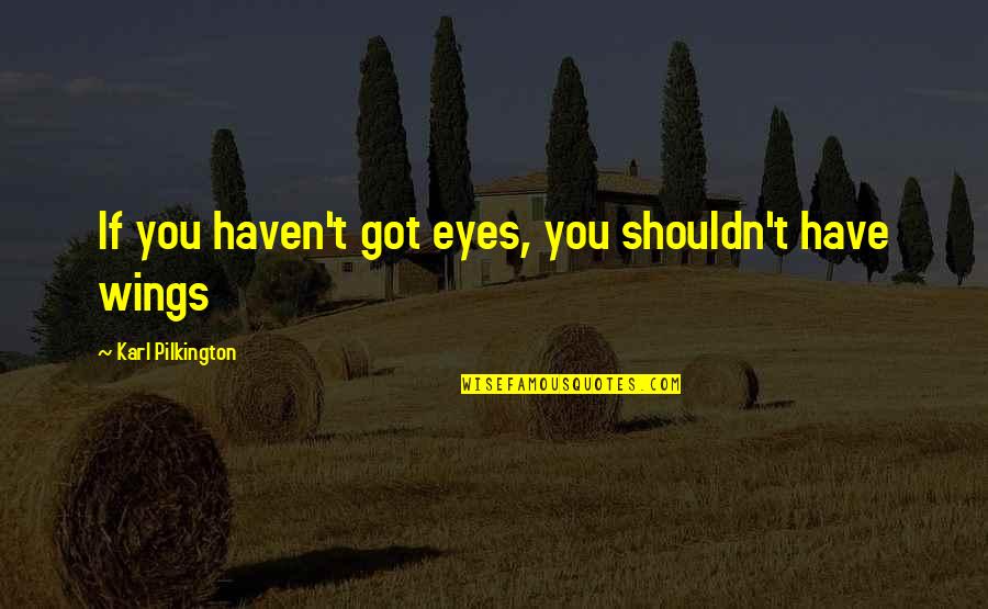 Lipson Pain Quotes By Karl Pilkington: If you haven't got eyes, you shouldn't have