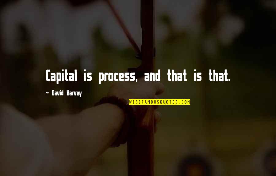 Liqors Quotes By David Harvey: Capital is process, and that is that.