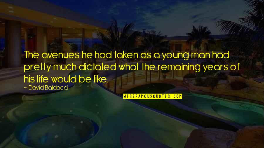 Liquefaction Geology Quotes By David Baldacci: The avenues he had taken as a young Liquefaction Geology Quotes By David Baldacci: The avenues he had taken as a young