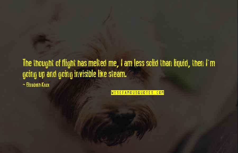 Liquid Quotes By Elizabeth Knox: The thought of flight has melted me, I