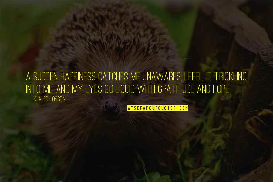 Liquid Quotes By Khaled Hosseini: A sudden happiness catches me unawares. I feel