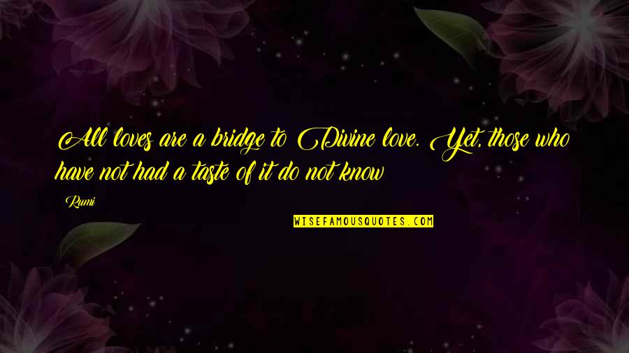 Liquid Silver Books Quotes By Rumi: All loves are a bridge to Divine love.