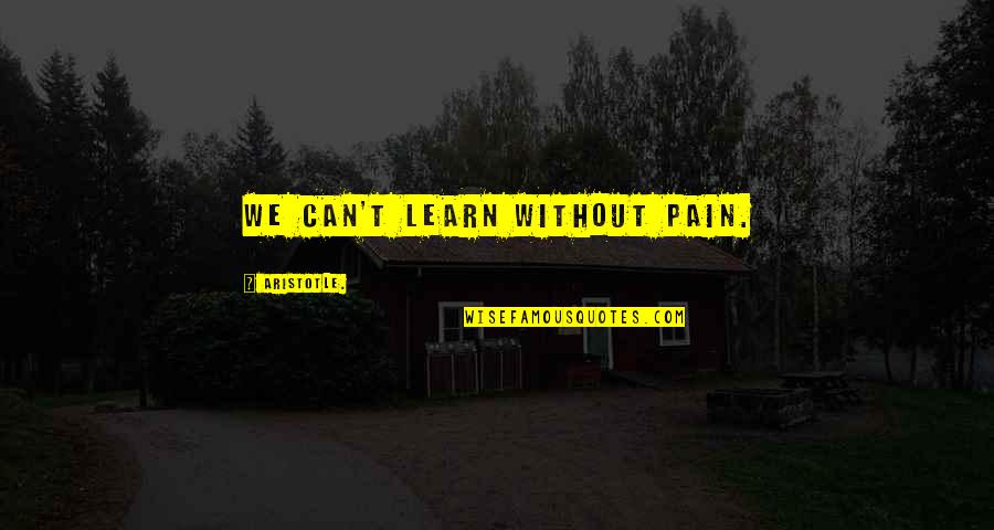 Liquido Amniotico Quotes By Aristotle.: We Can't learn without pain.