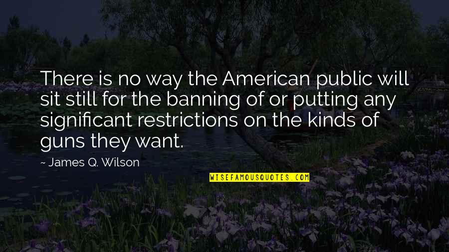 Lirianos Tire Quotes By James Q. Wilson: There is no way the American public will