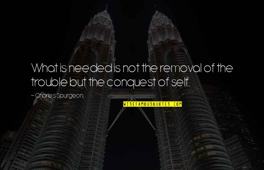Liron Bar Peled Quotes By Charles Spurgeon: What is needed is not the removal of Liron Bar Peled Quotes By Charles Spurgeon: What is needed is not the removal of