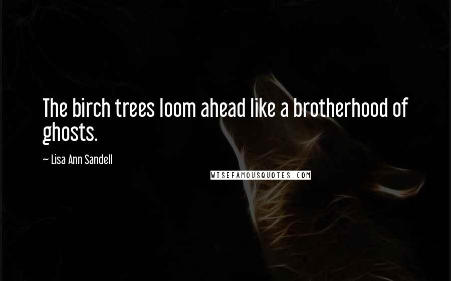 Lisa Ann Sandell quotes: The birch trees loom ahead like a brotherhood of ghosts. Lisa Ann Sandell quotes: The birch trees loom ahead like a brotherhood of ghosts.