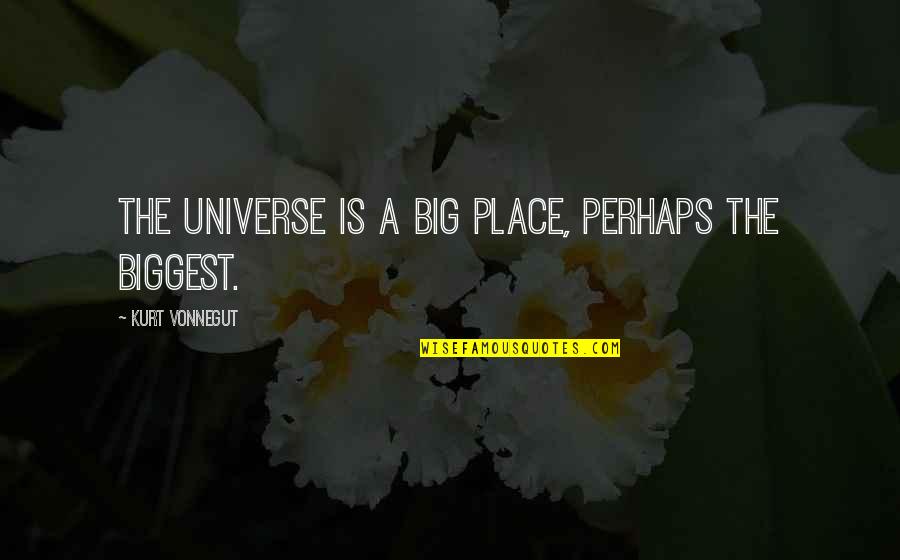 Lisa Rowe Quotes By Kurt Vonnegut: The universe is a big place, perhaps the