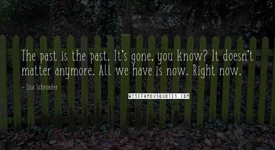 Lisa Schroeder quotes: The past is the past. It's gone, you know? It doesn't matter anymore. All we have is now. Right now.