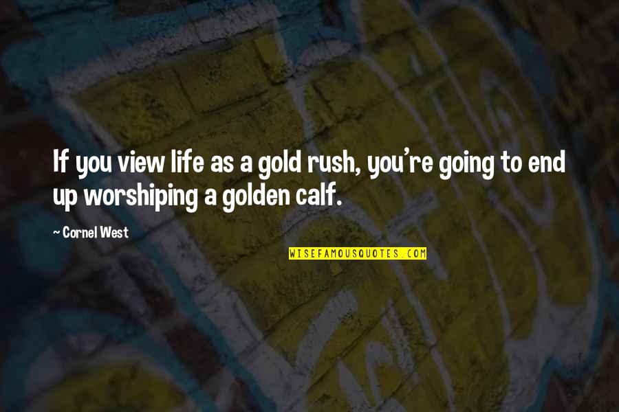 Lisayaro Quotes By Cornel West: If you view life as a gold rush,