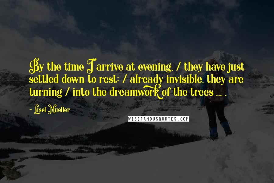Lisel Mueller quotes: By the time I arrive at evening, / they have just settled down to rest; / already invisible, they are turning / into the dreamwork of the trees ... . Lisel Mueller quotes: By the time I arrive at evening, / they have just settled down to rest; / already invisible, they are turning / into the dreamwork of the trees ... .