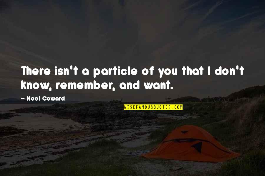 Lisensya At Permit Quotes By Noel Coward: There isn't a particle of you that I