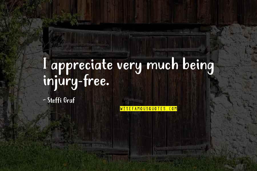 Liseron Boudoul Quotes By Steffi Graf: I appreciate very much being injury-free. Liseron Boudoul Quotes By Steffi Graf: I appreciate very much being injury-free.
