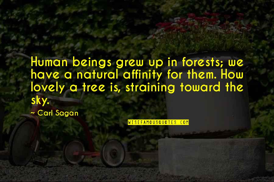 Lisha Quotes By Carl Sagan: Human beings grew up in forests; we have