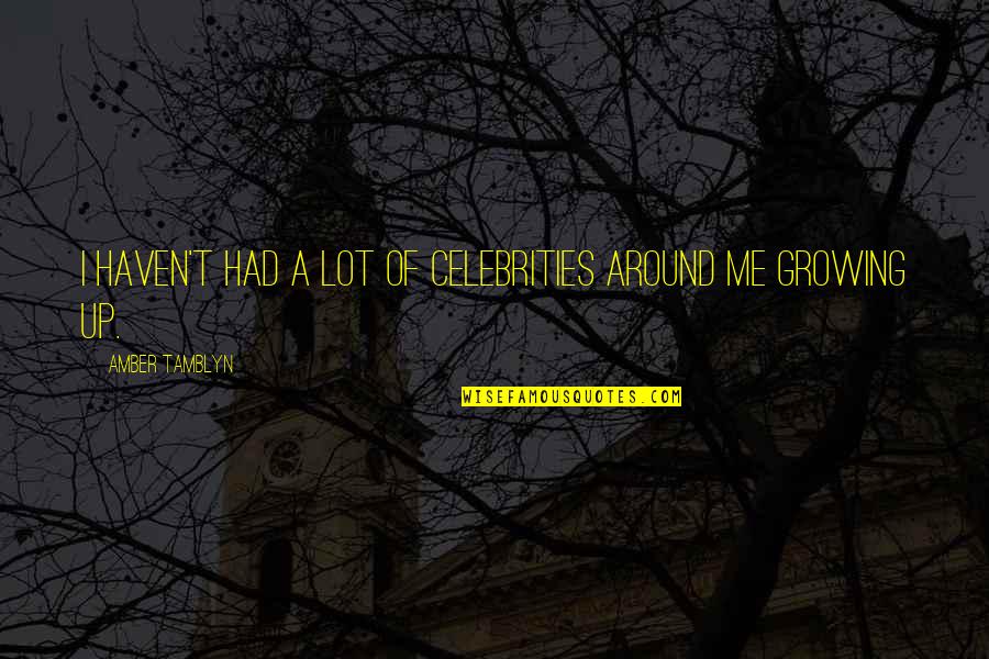 Lishedbuilders Quotes By Amber Tamblyn: I haven't had a lot of celebrities around Lishedbuilders Quotes By Amber Tamblyn: I haven't had a lot of celebrities around