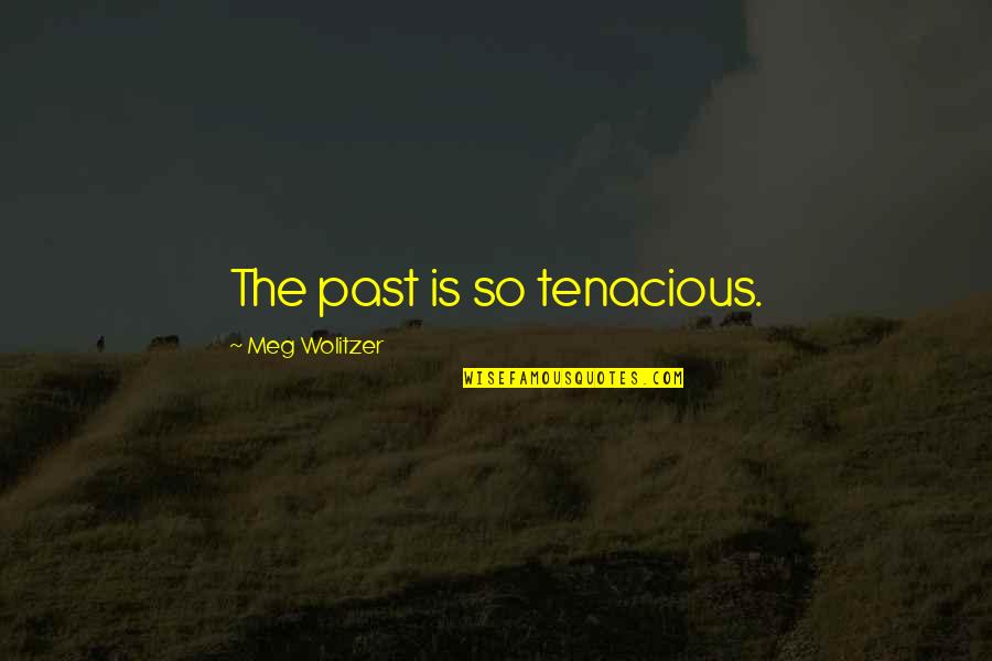 Lisinski Raj Quotes By Meg Wolitzer: The past is so tenacious.