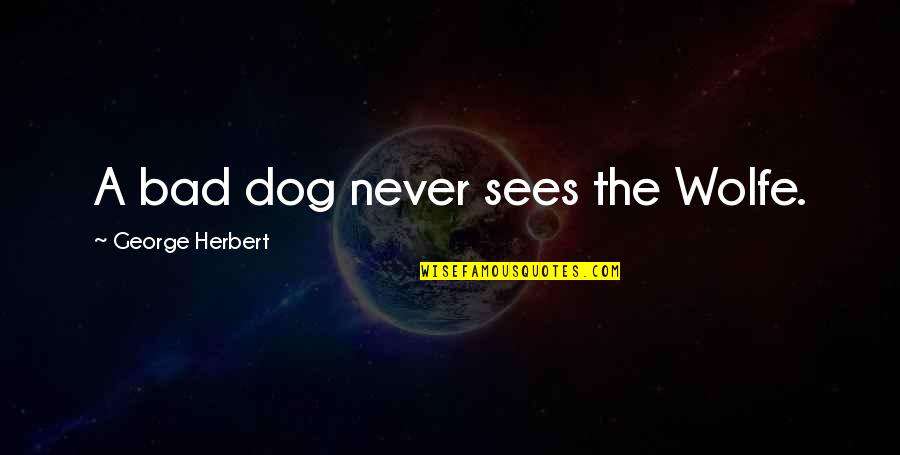 Lisonal Quotes By George Herbert: A bad dog never sees the Wolfe. Lisonal Quotes By George Herbert: A bad dog never sees the Wolfe.