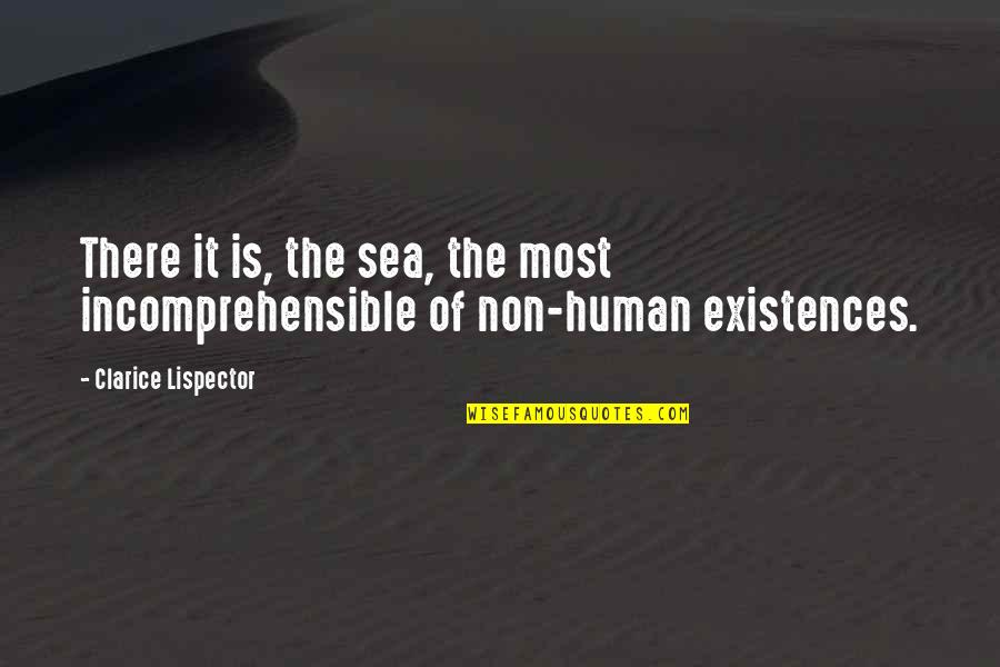 Lispector Clarice Quotes By Clarice Lispector: There it is, the sea, the most incomprehensible