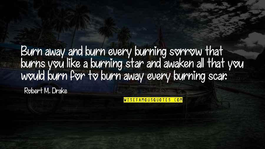 List Funny Quotes By Robert M. Drake: Burn away and burn every burning sorrow that