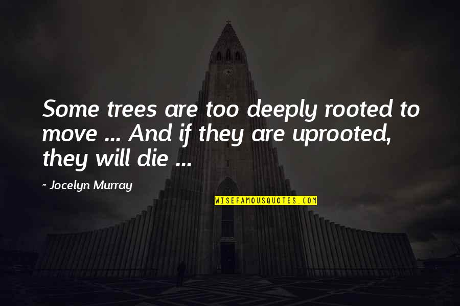 Listen To The Lyrics Quotes By Jocelyn Murray: Some trees are too deeply rooted to move Listen To The Lyrics Quotes By Jocelyn Murray: Some trees are too deeply rooted to move