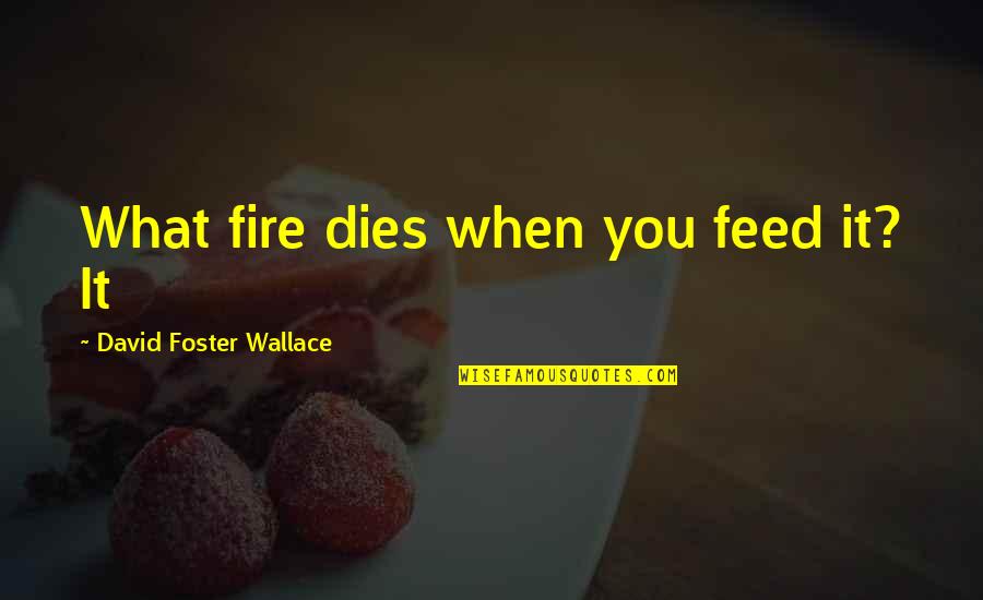 Listen When God Quotes By David Foster Wallace: What fire dies when you feed it? It