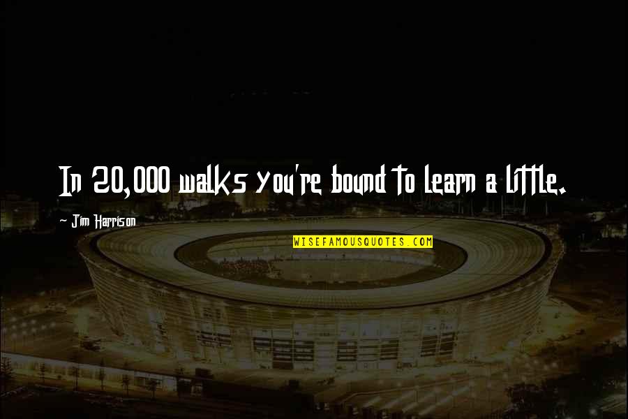 Literalism Quotes By Jim Harrison: In 20,000 walks you're bound to learn a