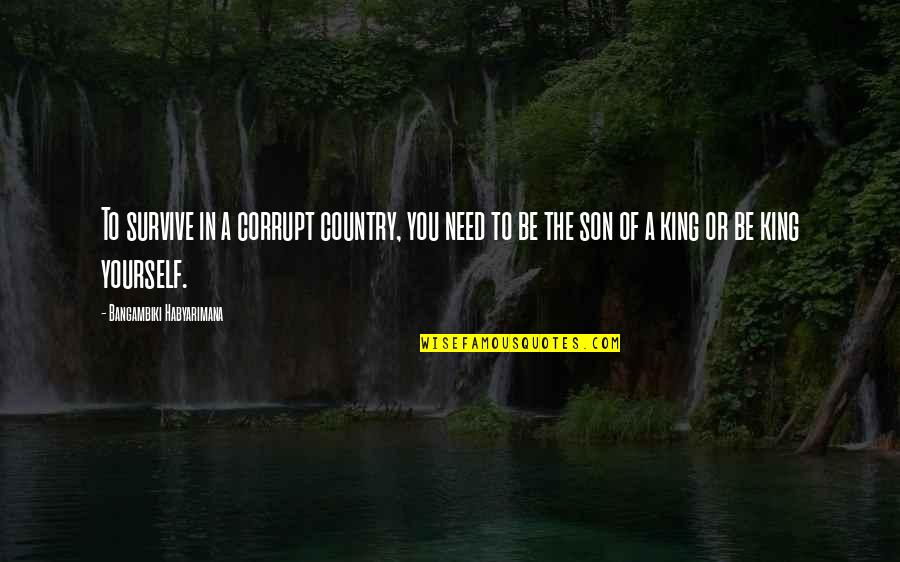 Literalists Quotes By Bangambiki Habyarimana: To survive in a corrupt country, you need Literalists Quotes By Bangambiki Habyarimana: To survive in a corrupt country, you need