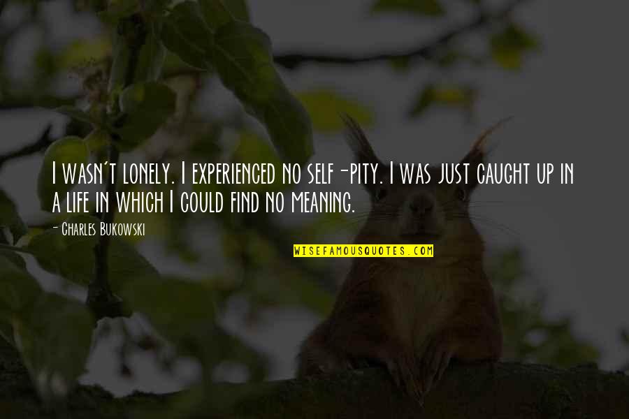 Literally Jamie Quotes By Charles Bukowski: I wasn't lonely. I experienced no self-pity. I
