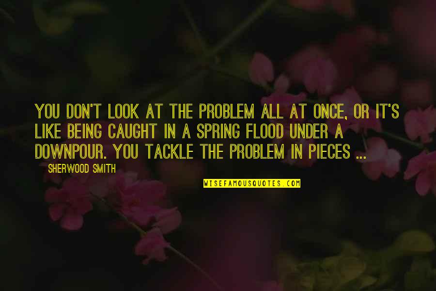 Literary Agents Quotes By Sherwood Smith: You don't look at the problem all at