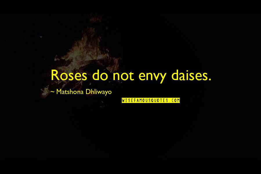 Literatura Precolombina Quotes By Matshona Dhliwayo: Roses do not envy daises. Literatura Precolombina Quotes By Matshona Dhliwayo: Roses do not envy daises.