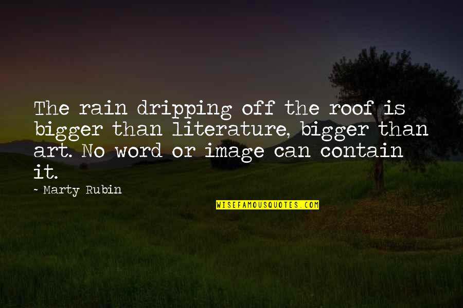 Literature And Reality Quotes By Marty Rubin: The rain dripping off the roof is bigger