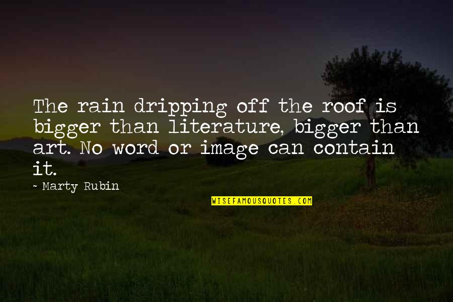Literature And Reality Quotes By Marty Rubin: The rain dripping off the roof is bigger Literature And Reality Quotes By Marty Rubin: The rain dripping off the roof is bigger