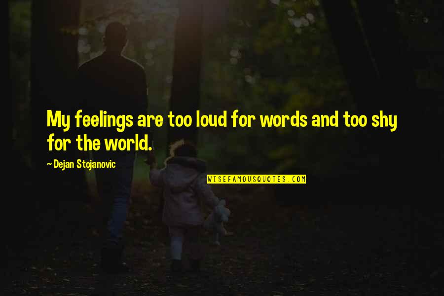 Literature And The World Quotes By Dejan Stojanovic: My feelings are too loud for words and