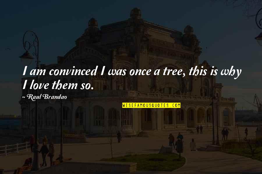 Literature Love Quotes By Raul Brandao: I am convinced I was once a tree,