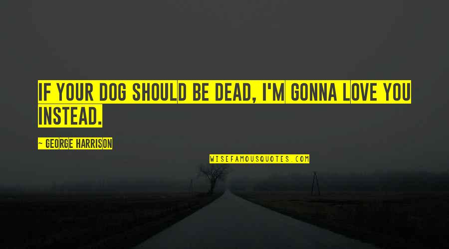 Lithographs Quotes By George Harrison: If your dog should be dead, I'm gonna