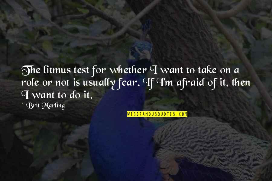 Litmus Quotes By Brit Marling: The litmus test for whether I want to