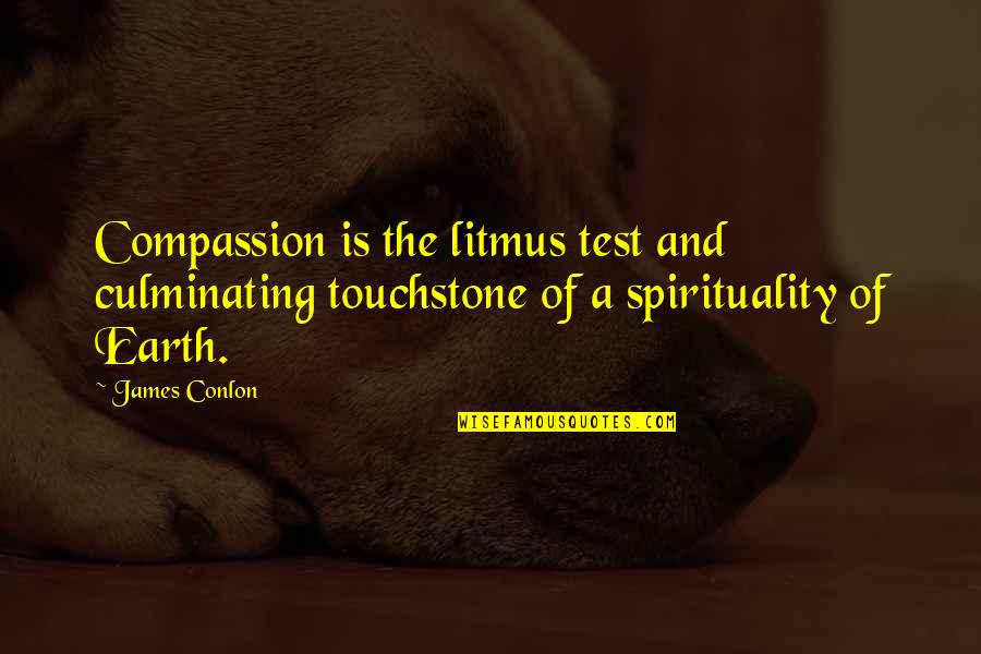Litmus Quotes By James Conlon: Compassion is the litmus test and culminating touchstone