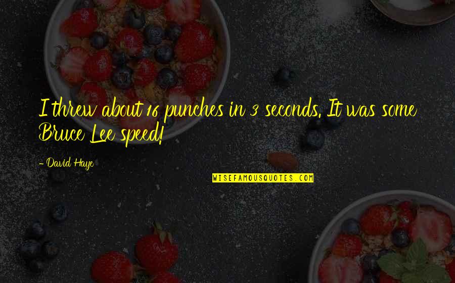 Litro A Onzas Quotes By David Haye: I threw about 16 punches in 3 seconds.