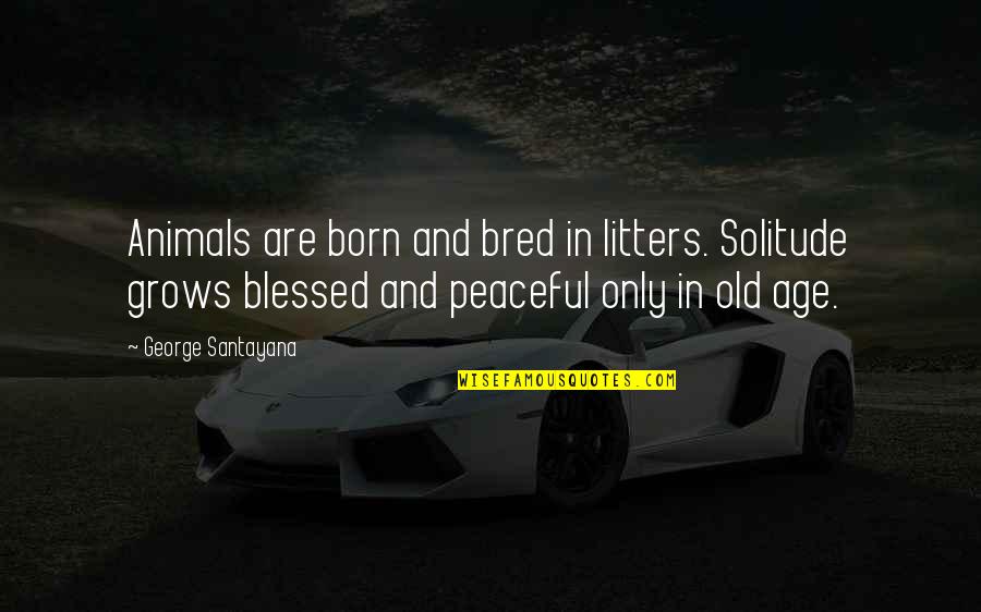 Litters Quotes By George Santayana: Animals are born and bred in litters. Solitude Litters Quotes By George Santayana: Animals are born and bred in litters. Solitude