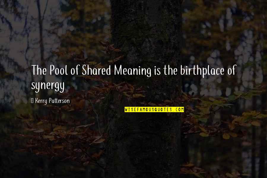 Little Acorn Quotes By Kerry Patterson: The Pool of Shared Meaning is the birthplace